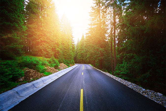 Hillside Road with Evergreens Lining the Roadway into the Sunset